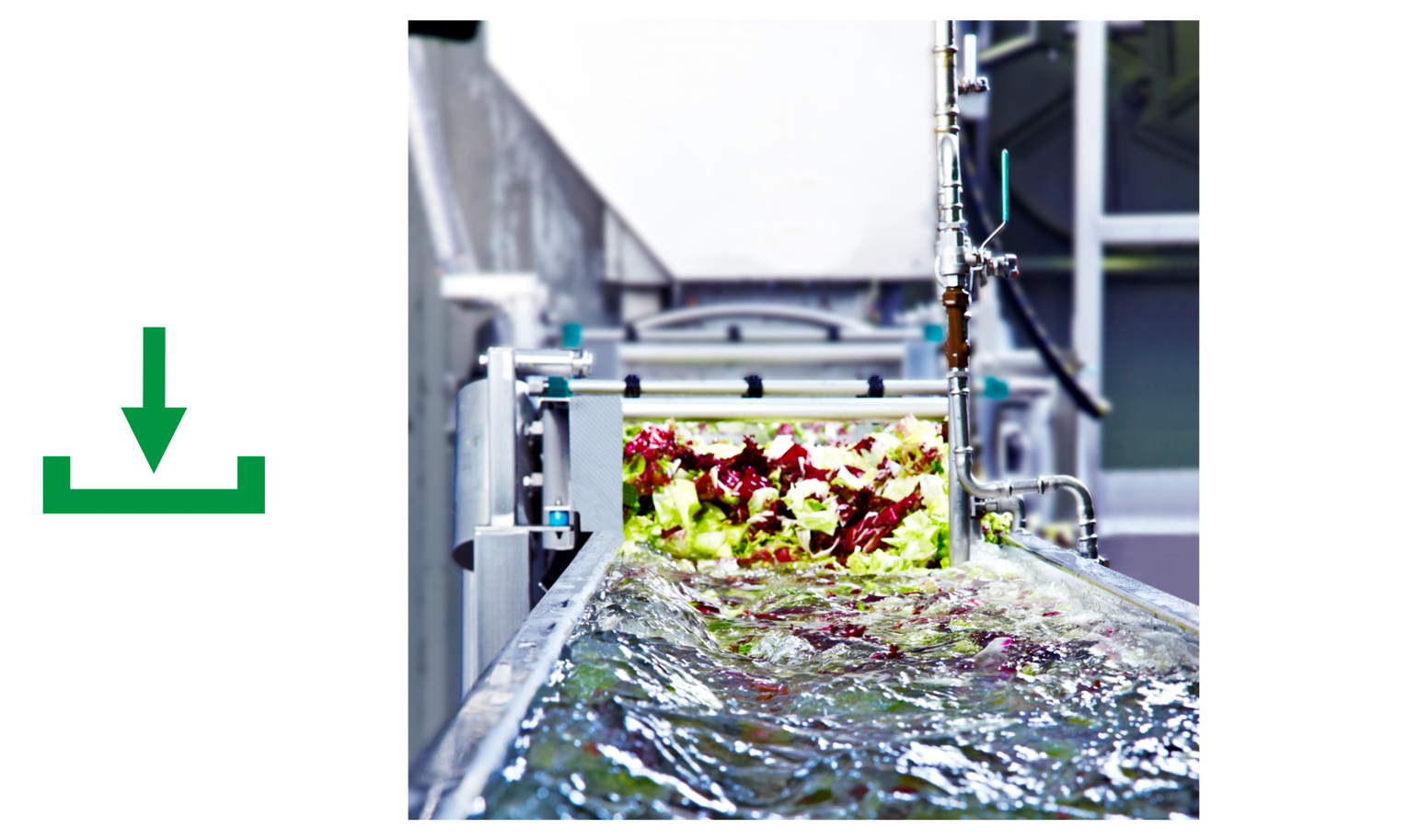 Waschanlage Salat